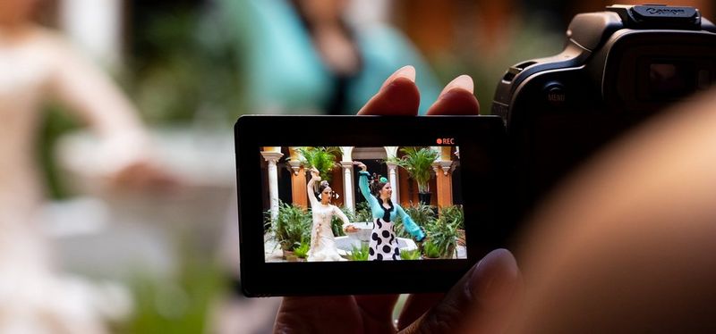 Comparativo de câmeras digitais mirrorless para fotografia de natureza