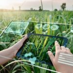 internet das coisas para agricultura